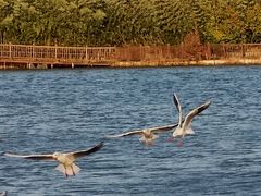 -云龙湖旅游景区
