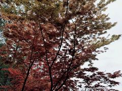 -剑门关风景区