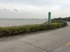 -海鸥岛