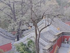 -潭柘寺景区