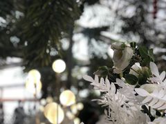 -北镇龙岗子生态园