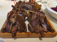 -食家鸽园