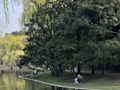 -上海共青森林公园