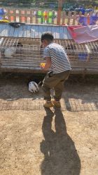 -浅山蜜塘奇妙乐园·亲子营地