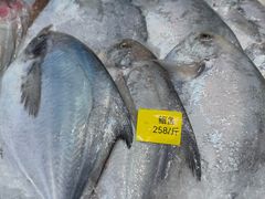 -小厨师·二十年沈家门小海鲜(百井坊巷店)
