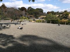-水前寺成趣园