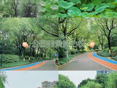 -桐乡植物园