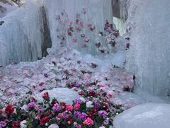 -洛阳白云山景区