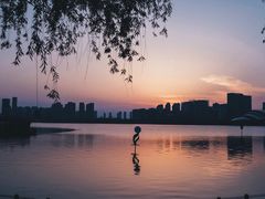 -天鹅湖体育公园