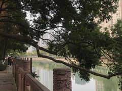 -成都市活水公园