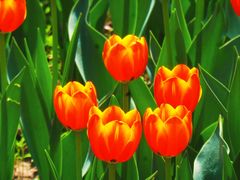 -北京植物园南门售票处