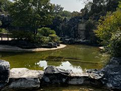 -上海吴淞炮台湾国家湿地公园