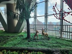 -华西龙希国际大酒店旅游观光景区