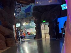 -烟台海昌鲸鲨海洋公园