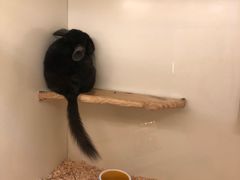 -龙猫仔乐园(惠福东路店)