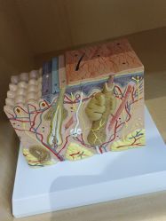 -雍禾植发全国连锁