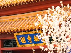 -桃花堤公园
