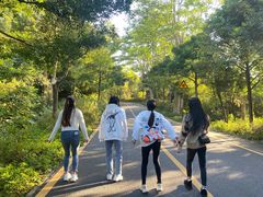 -深圳仙湖植物园-停车场
