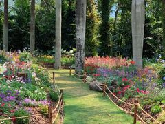 -深圳仙湖植物园-停车场