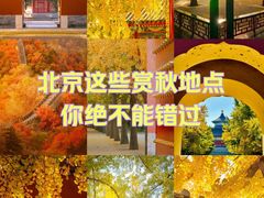 -孔庙和国子监博物馆
