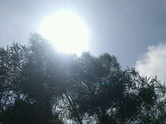 android_upload_pic-聚龙山公园