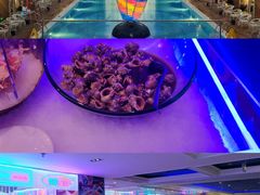 -海韵之星邮轮水会(明发商业广场店)