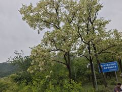 -阳台山自然风景区