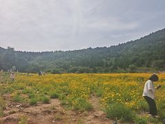 -佛慧山