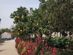 -毛泽东同志旧居