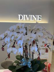 -RECOUP by ReMINGLE睿卡博