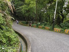-广州市帽峰山景区