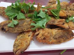 -烁佳海鲜大馅饺子