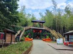 -陶祖圣境风景区