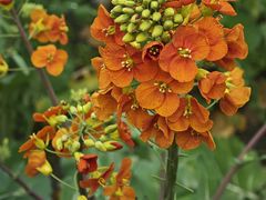 -中国天府农业博览园