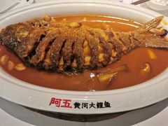 -阿五黄河大鲤鱼(英协路店)
