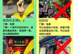 -秦始皇帝陵博物院(兵马俑)