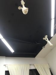 -LU YOGA（露瑜伽）专业瑜伽馆