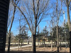 -楊家一锅(沙阳路店)