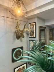 -極致刺青TATTOO STUDIO 私人订制