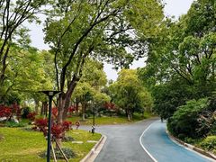 -吴淞炮台湾湿地森林公园烧烤区