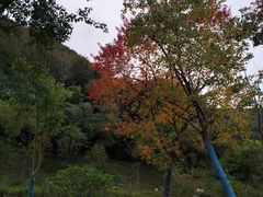 -南北湖风景区