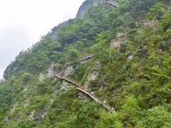 -鹿院坪生态旅游景区