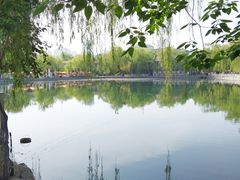 -百花洲