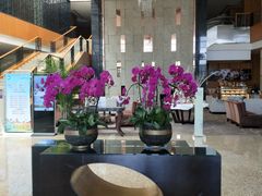 -上海嘉定喜来登酒店