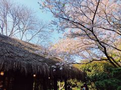 -中国茶叶博物馆(双峰馆区)