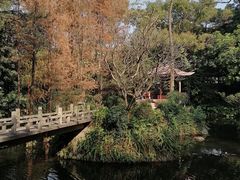 -广州兰圃