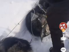 -亚布力新体委滑雪场