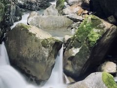 -鹿院坪生态旅游景区