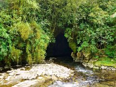 -怀托摩萤火虫洞