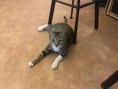 -逃脱反斗城沉浸剧情密室(北京路店)